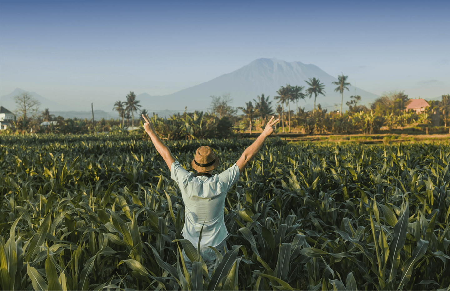 Wess Hospitality — Navigate the World