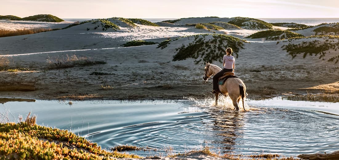 HORSE RIDING
