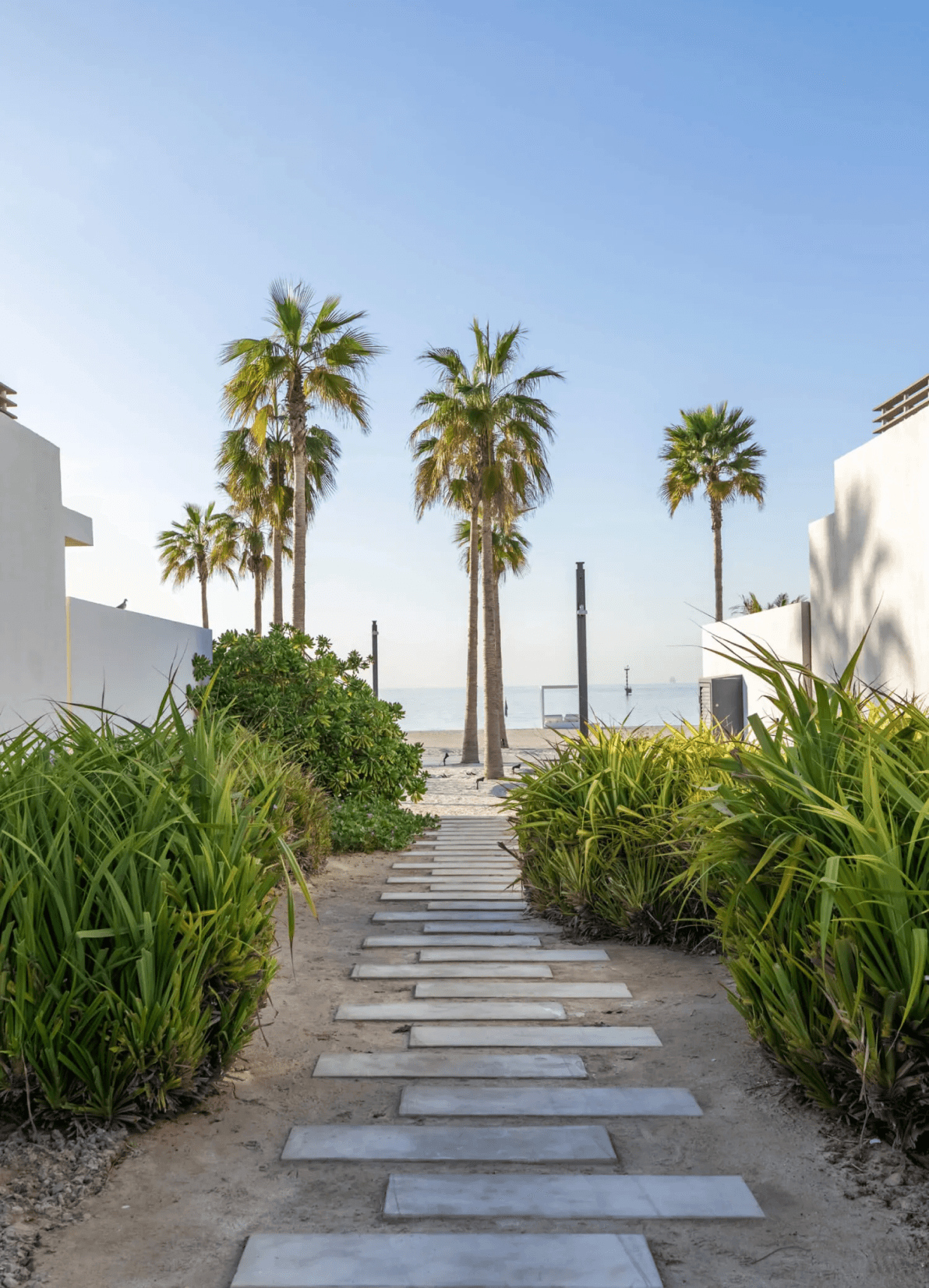 Tropical path leading to the beach at Les Salines