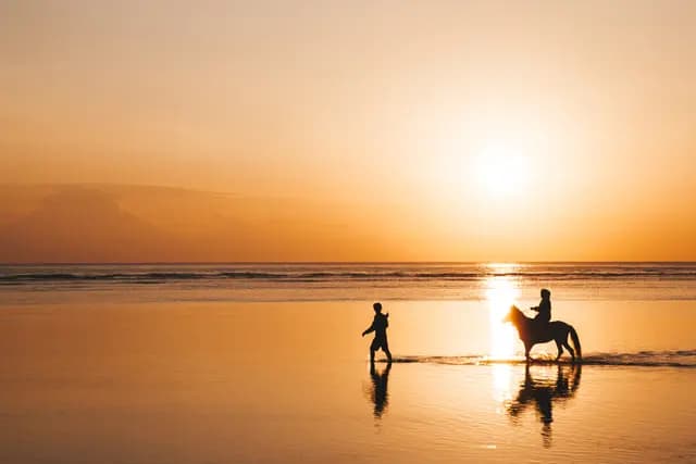 HORSE RIDING