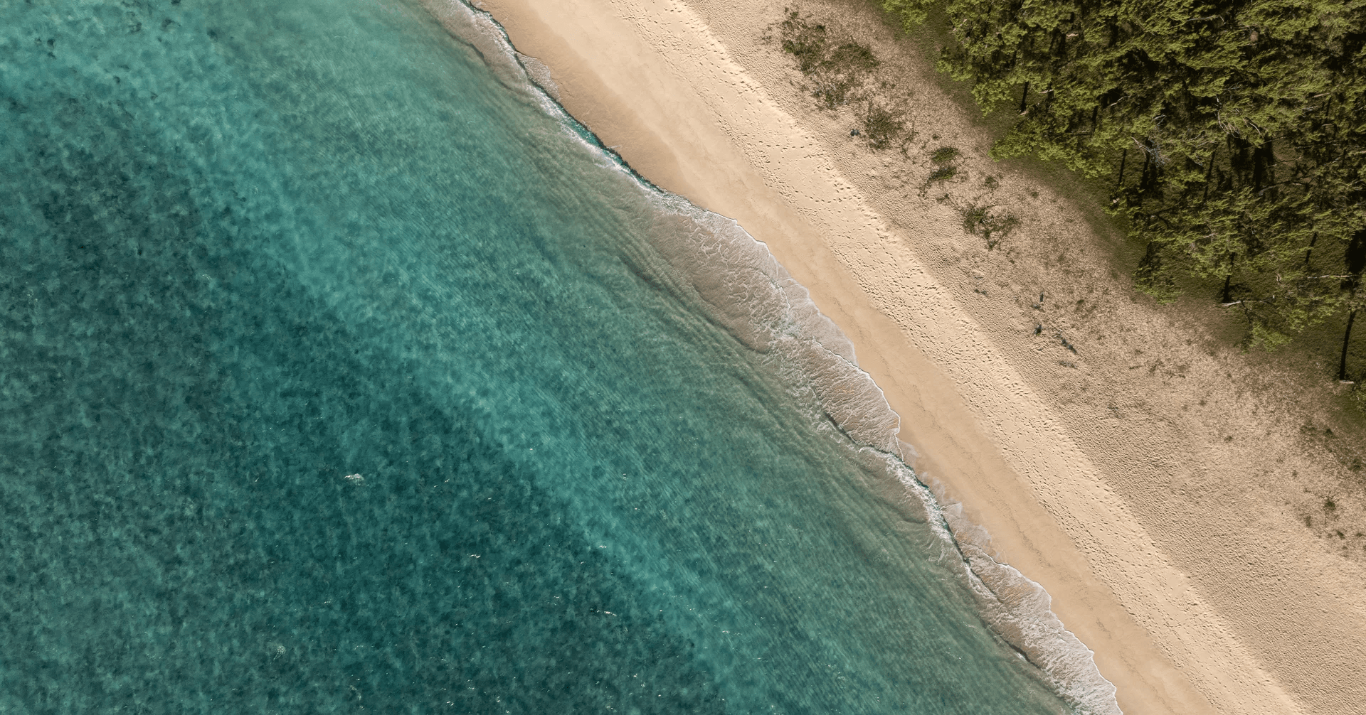 Aerial beach coastline