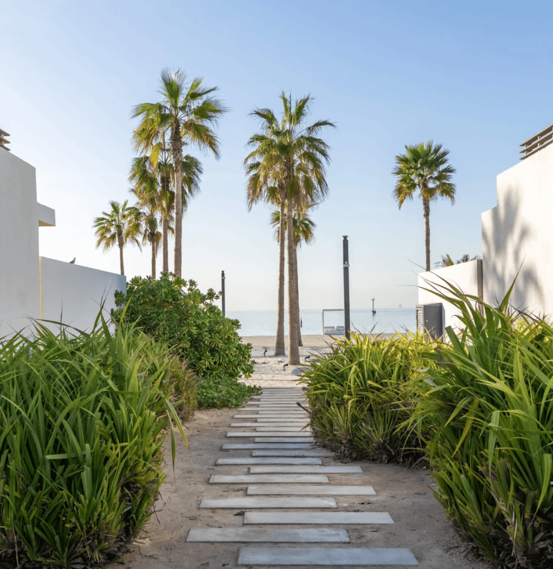 Palm-lined path to the beach