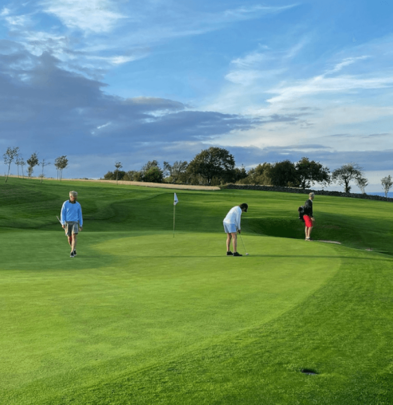 Golfers on a green fairway