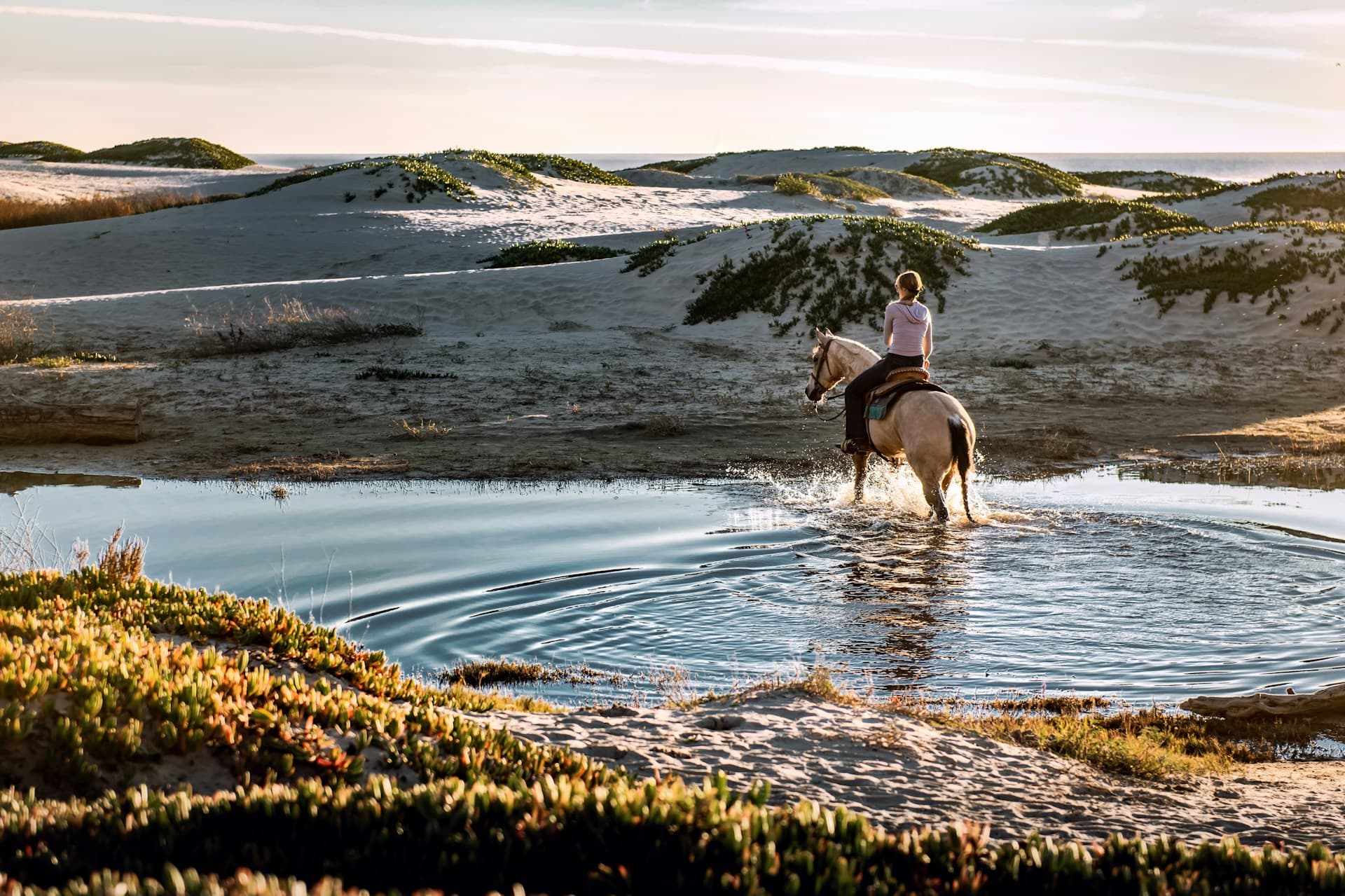 Horse Riding