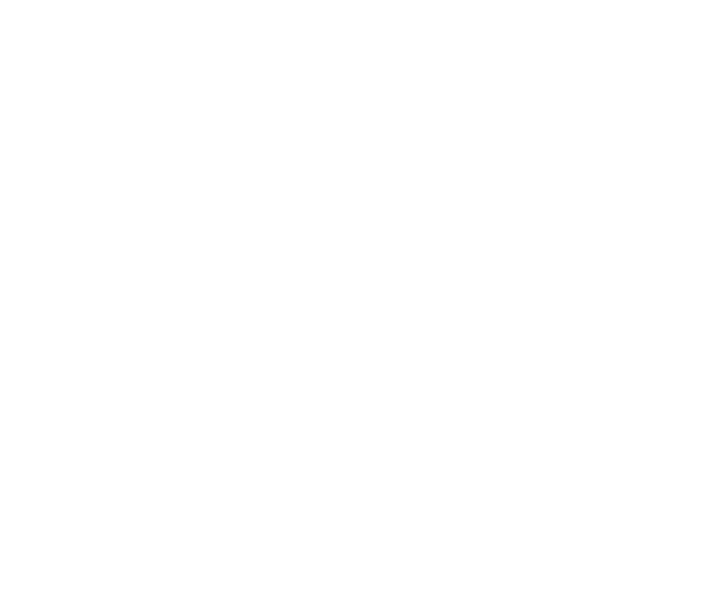 Wess Les Salines